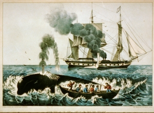 Whaling and span of control