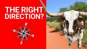 Finding the Right Direction: How do you Know Which Way to Go?