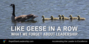 Geese in a Row - What we Often Forget About Leadership