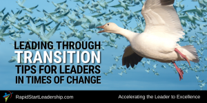 Leading Through Transition - Tips for Leaders in Times of Change