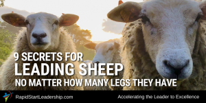 Nine Secrets for Leading Sheep - No Matter How Many Legs They Have